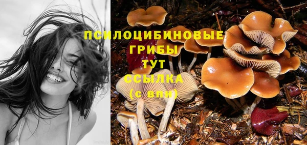 бошки Алзамай