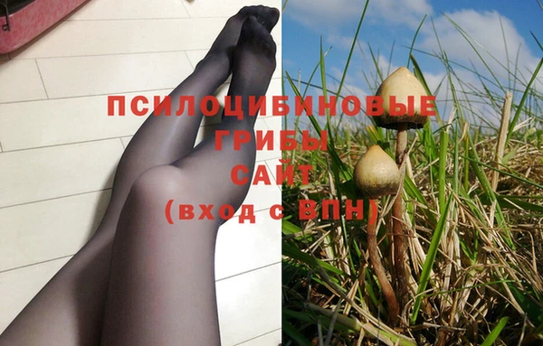 хмурый Абинск