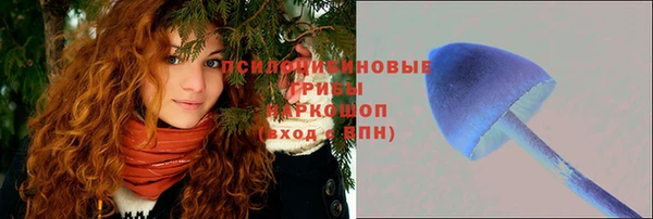 метадон Алексеевка