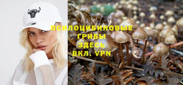бошки Алзамай