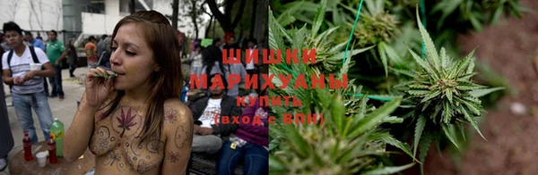 бошки Алзамай