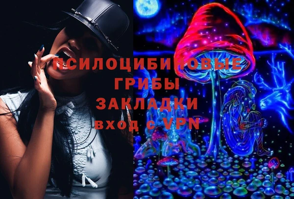 не бодяженный Алексин